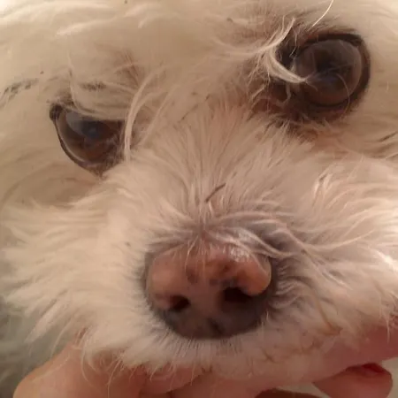 Traumhaft Ruhige Lage Eva Lamprecht