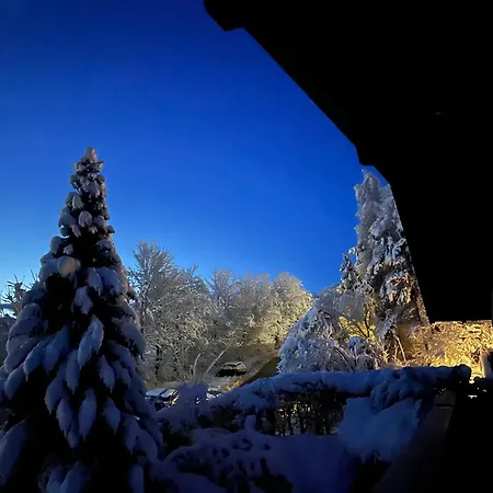 Traumhaft Ruhige Lage Eva Lamprecht Appartement Innsbruck