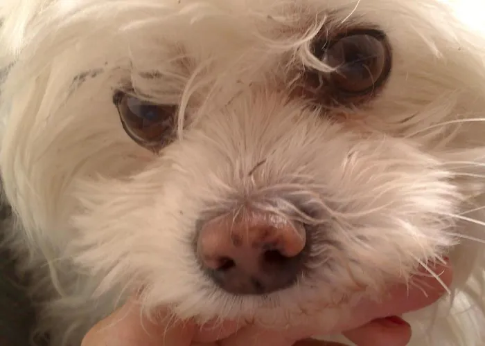 Ferienwohnung Mutters Eva Lamprecht Traumhaft Ruhige Lage