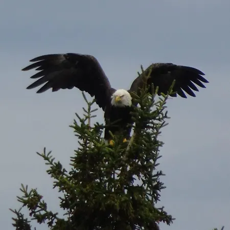 Ferienwohnung Mutters Eva Lamprecht Traumhaft Ruhige Lage Innsbruck