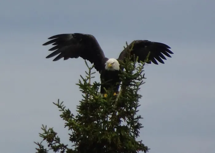 Ferienwohnung Mutters Eva Lamprecht Traumhaft Ruhige Lage Innsbruck